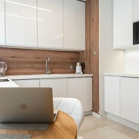 公寓 Silesian Vip 格利维采