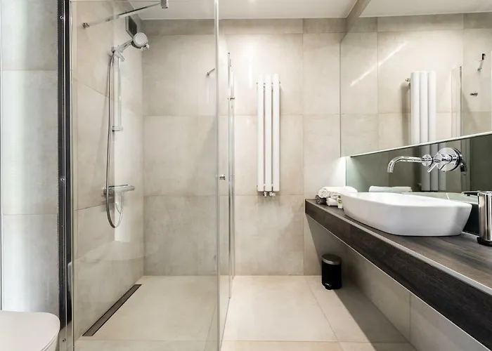 公寓 Silesian Vip 格利维采